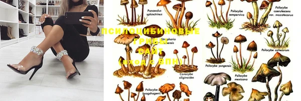 мяу мяу мука Лихославль