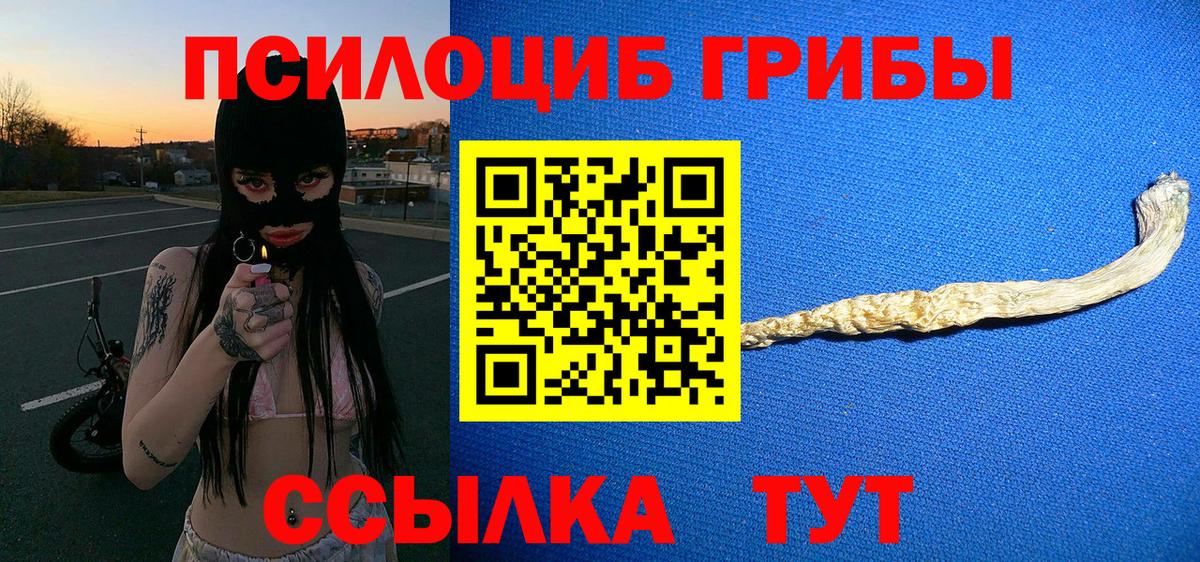 Урус-Мартан  Псилоцибиновые грибы мухоморы  Вход с VPN 